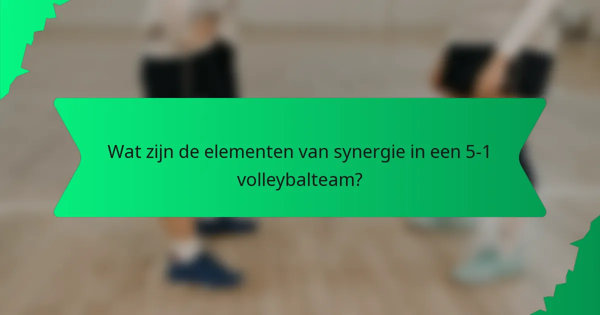 Wat zijn de elementen van synergie in een 5-1 volleybalteam?